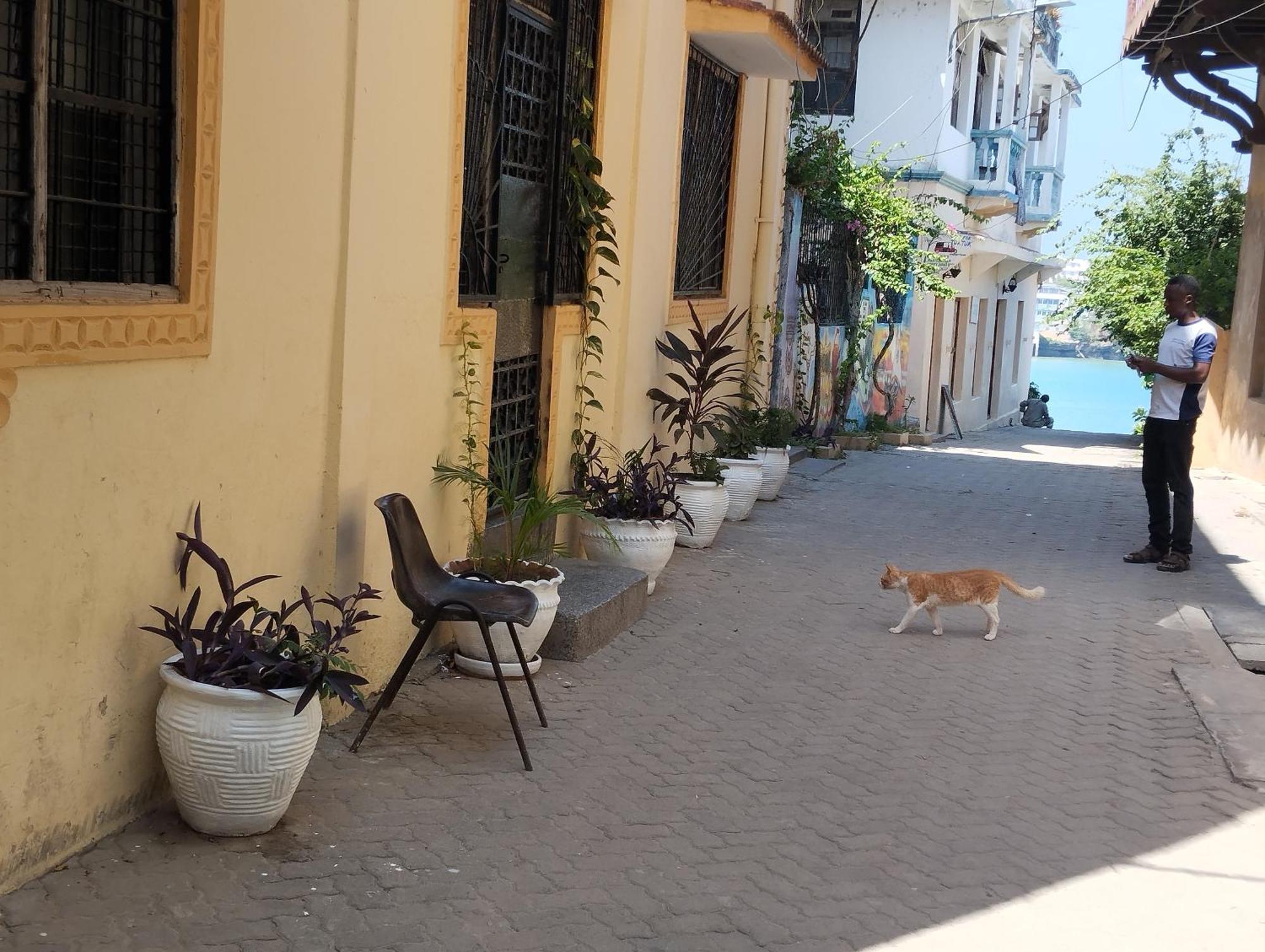 Mombasa Comfort House, Old Town מראה חיצוני תמונה